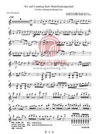 Try&Counting Stars（中阮部分）